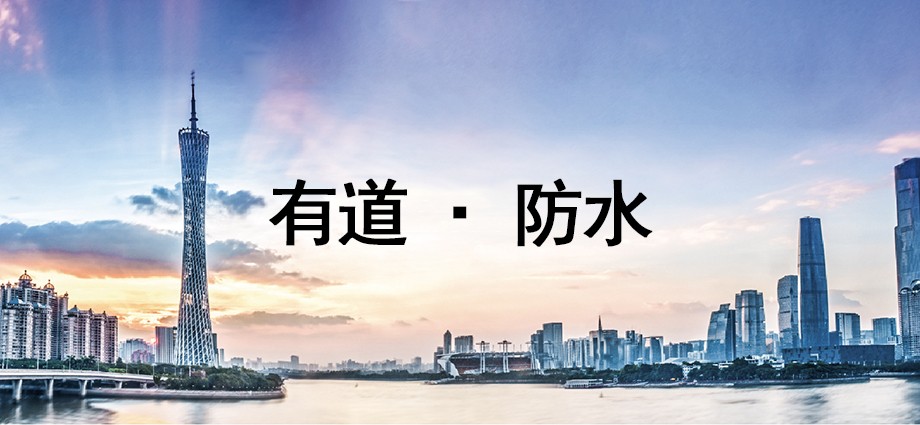 山東有道防水建材有限公司